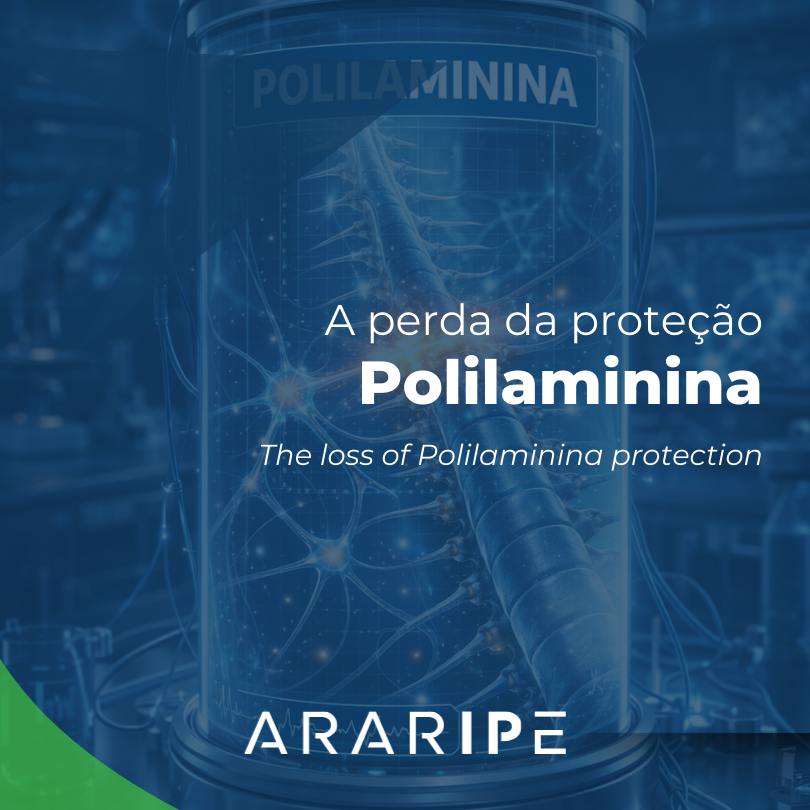 Cópia de Carrossel (1)